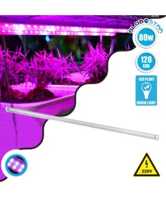 GloboStar® 85963 Linear Grow Light Full Spectrum LED Γραμμικό Φωτιστικό Ανάπτυξης Φυτών Θερμοκηπίου 120cm SMD 2835 80W 160° AC230V IP54 Εσωτερικού Χώρου για Κάλυψη Επιφάνειας 1.2m x 1.2m Πλήρους Φάσματος Φωτισμού